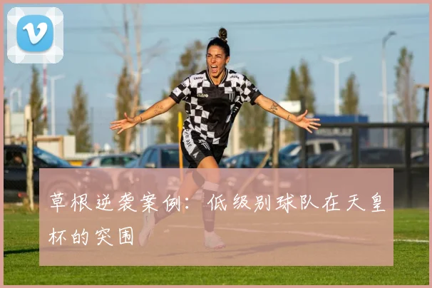 草根逆袭案例：低级别球队在天皇杯的突围