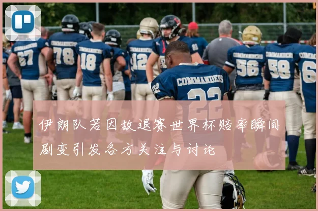 伊朗队若因故退赛世界杯赔率瞬间剧变引发各方关注与讨论