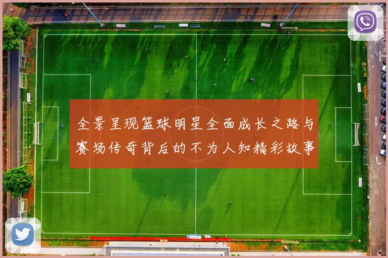 全景呈现篮球明星全面成长之路与赛场传奇背后的不为人知精彩故事