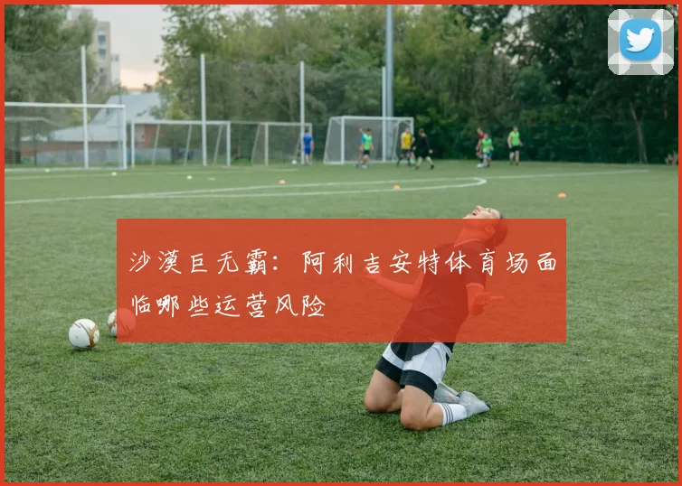 沙漠巨无霸：阿利吉安特体育场面临哪些运营风险