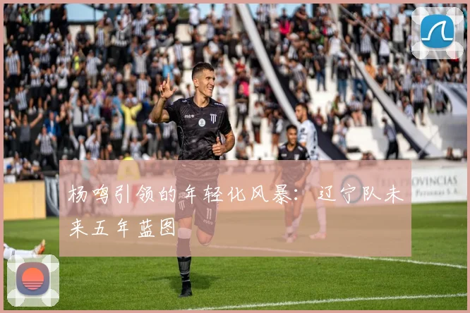 杨鸣引领的年轻化风暴：辽宁队未来五年蓝图
