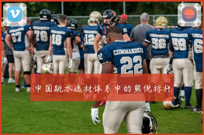 中国跳水选材体系中的熊倪标杆
