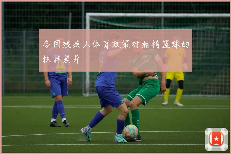 各国残疾人体育政策对轮椅篮球的扶持差异